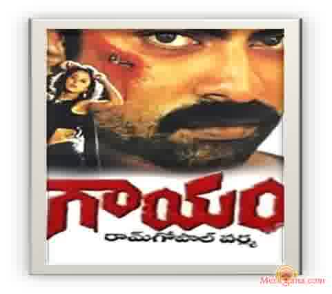 Poster of Gaayam (1993)